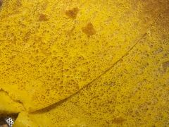 -山河屯铁锅炖鲜鹅·东北菜(开发区一店)