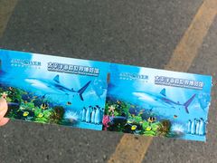 -太平洋海底世界