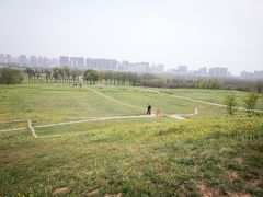 -汉长安城未央宫国家考古遗址公园