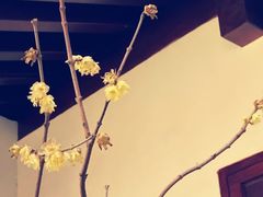 -香积寺