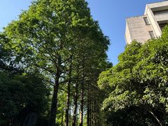 -浙江大学(玉泉校区)