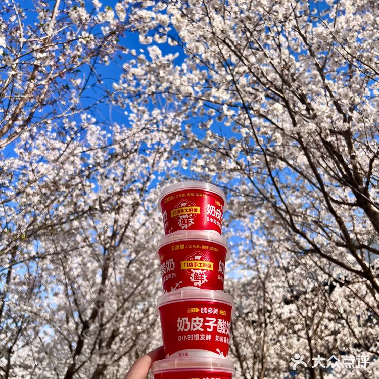 夏天到了，在樱花下吃顶流小吃