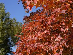 -同济大学本部学苑饮食广场