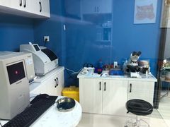 -福州肆爪动物医院