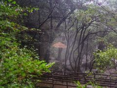 -大鄣山卧龙谷景区