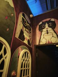 -疯狂冒险家-亲子密室-东坝店(金隅嘉品店)