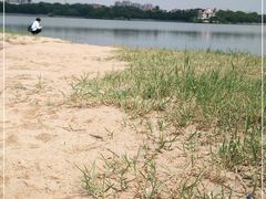 -仙湖旅游度假区