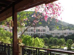 -三亚亚龙湾凯莱仙人掌度假酒店