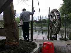-江边湾柴火鸭
