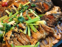 -老板恋上鱼(恒隆广场店)