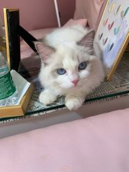 -Beauty Nails 美甲美睫皮肤管理