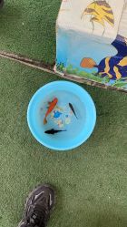 -萌宠亲子动物乐园(槐房万达店)