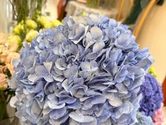 -花屿鲜花(淡水店)