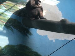 -辛玛王国游乐园