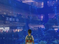 -成都浩海立方海洋公园