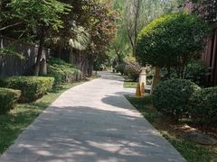 -西安国际创新人才交流中心•药浴温泉