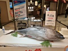 -蟹将军·松叶蟹和牛日料放题自助(K11店)