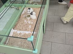 -白水寺森林公园