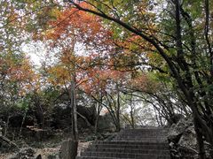 -紫金山索道-售票处