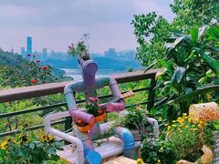 -深圳仙湖植物园
