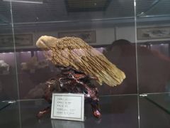 -游龙石文化科普馆