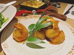 -梧桐