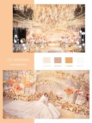 -DC大蔡婚礼策划(李公堤店)