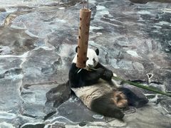 -济南野生动物世界