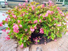 -人民防洪胜利纪念塔