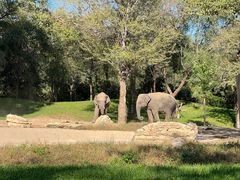 -北京野生动物园