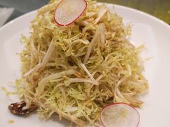 拌苦菊-碧丽宫大酒店(召稼楼店)
