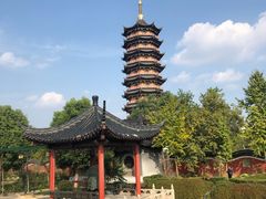 -葛仙湖公园