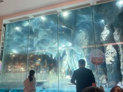 -帝企鹅自助餐厅•儿童岛•真企鹅(长隆企鹅酒店)