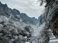 -黄山风景区