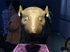 -广西壮族自治区博物馆