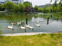 -杭州师范大学(下沙校区)