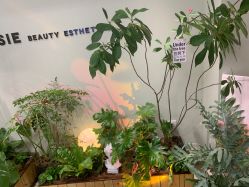 -Lumi露米·美甲美睫品质店