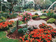 -徐家汇源景区-衡山公园