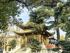 -上海东林寺(金山区)