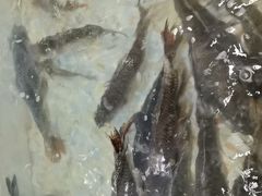 -山城家常菜铁锅炖鱼
