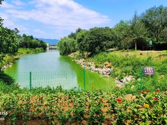 -北京张裕爱斐堡酒庄