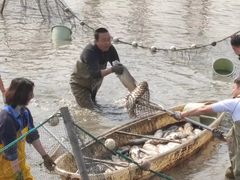 -阿林有机农庄