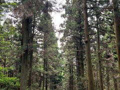 -上色见熊野座神社