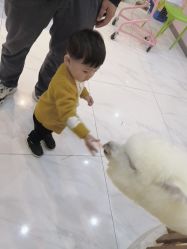 -Moni星球萌宠·小马宝莉·灵蛇·高端高阶全萌宠互动体验俱乐部(红豆国际广场店)
