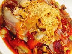 -夫妻肺片·老字号