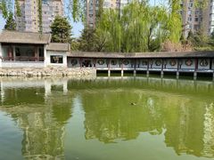 -团结湖公园