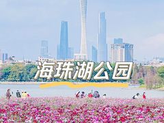 -海珠湖公园