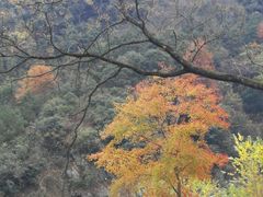 -水墨汀溪风景区