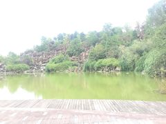 -铁山坪森林公园