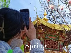 -护国法轮寺